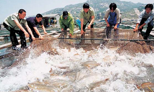 7.Aquaculture